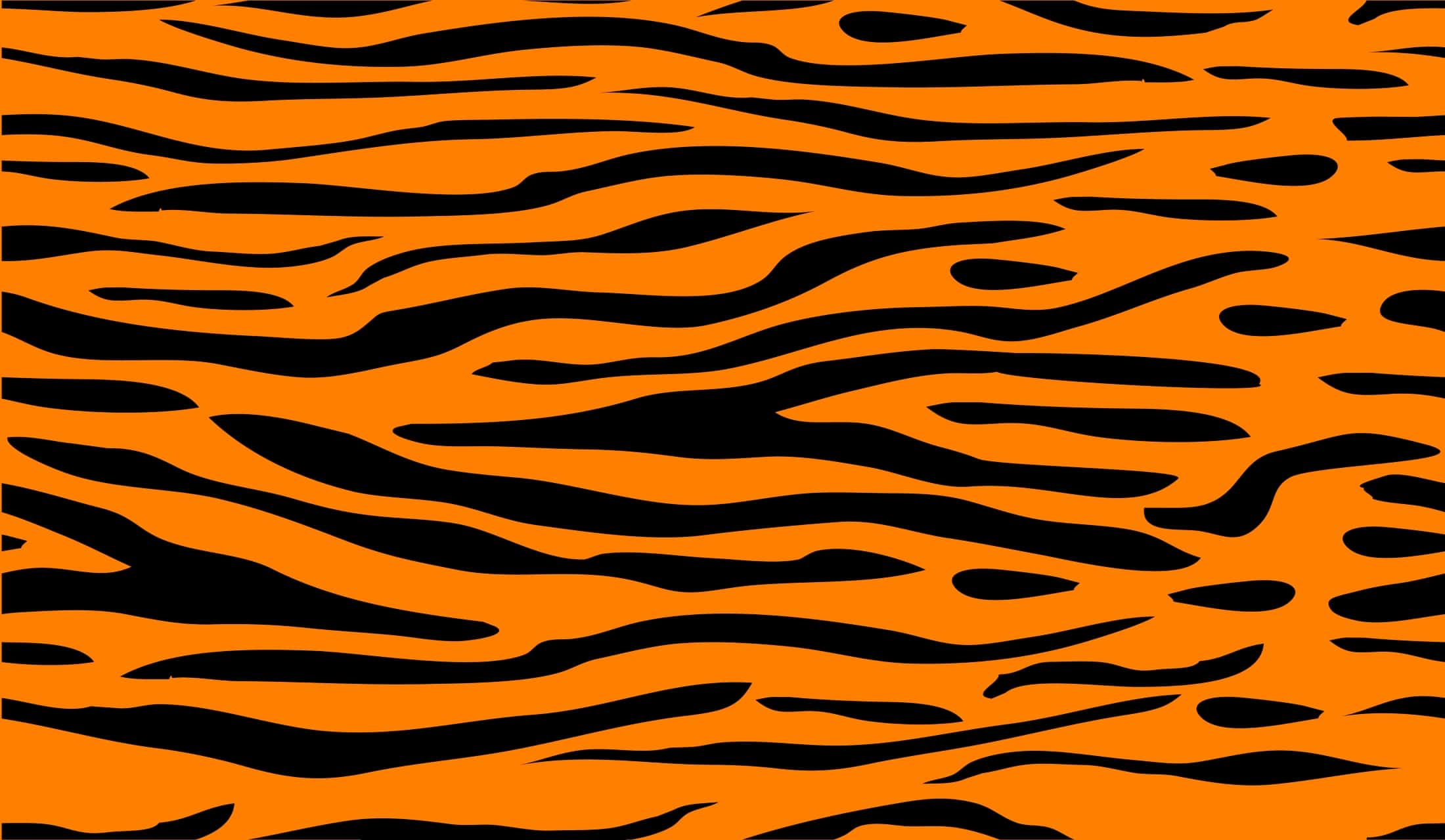 tiger stripes clipart - photo #8